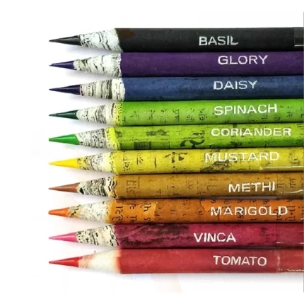 Plantable Colouring Pencils